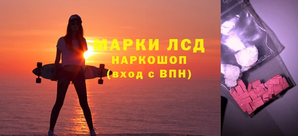 гашик Аркадак