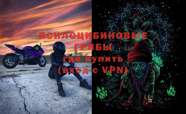 прущая мука Няндома