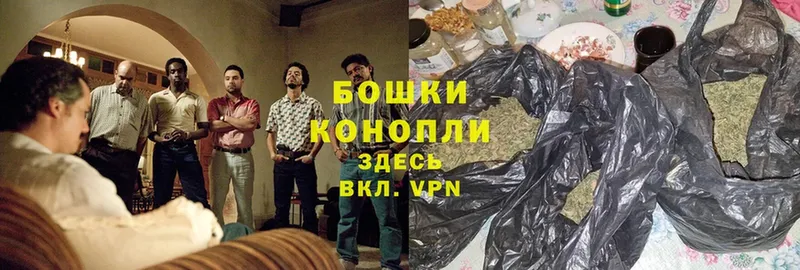 Канабис OG Kush  Купино 